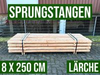 Sprungstangen Hindernisstangen Rundhölzer Holz - 8 x 250 - LÄRCHE Nordrhein-Westfalen - Lennestadt Vorschau