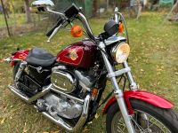 Harley Davidson Sportster XL/2 883 Brandenburg - Calau Vorschau