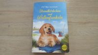 Strandkörbchen und Wellenfunkeln von Petra Schier Buch Roman Bayern - Saldenburg Vorschau