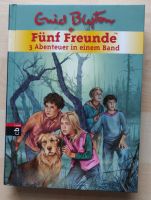 Kinderbuch "Fünf Freunde" Thüringen - Hirschberg Vorschau