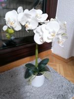 1 neue kuenstliche Orchideen Saarland - Riegelsberg Vorschau