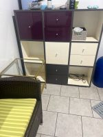 Ikea Kallax Regal Nordrhein-Westfalen - Bad Lippspringe Vorschau