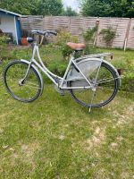 Gazelle Holland Fahrrad Herzogtum Lauenburg - Berkenthin Vorschau