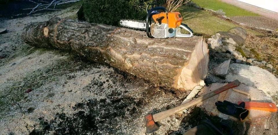 Baumfällung  Baumarbeiten Baumfäller Baumpflege Fällung in Kempten