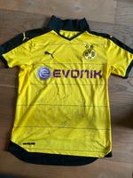 BVB Trikot mit Unterschriften Nordrhein-Westfalen - Hürth Vorschau