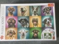 Puzzle 1000 Teile NEU !! Hundeportraits Berlin - Spandau Vorschau