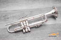 BACH STRADIVARIUS 43 G Trompete Trumpet #421777 Bayern - Wiedergeltingen Vorschau