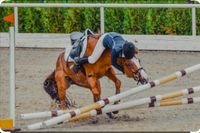 Falltraining für Reiter mit Reitlehrerin und Stuntman in Berlin Berlin - Zehlendorf Vorschau