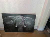 Bild Leinwand Elefant 120 x 80cm Hamburg-Nord - Hamburg Winterhude Vorschau