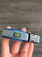 Hunter Hundehalsband Neopren // XS-S // NEU Niedersachsen - Laatzen Vorschau