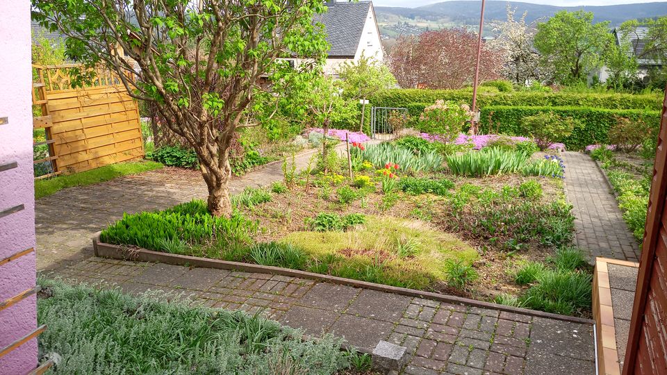 Freier Garten - Kleingartenanlage - Albernau in Zschorlau