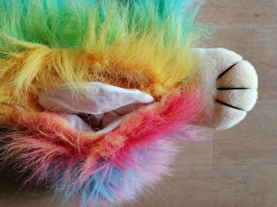 WÄRMFLASCHENHÜLLE - Baby Frank, Erlangen - IGEL - Regenbogen in Nienberge