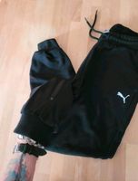 Puma Jogginghose Sporthose 36 1 S Jogpants Saarland - Perl Vorschau