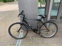 Fahrrad Herrenrad Dresden - Strehlen Vorschau