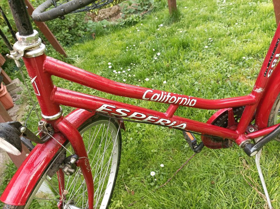 Damenfahrrad 26 Zoll mit 5 Gang Schaltung rot fahrbereit in Thalbürgel