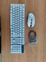 Gamingtastatur + Maus  ZIYOU LANG  T13 Nordrhein-Westfalen - Sankt Augustin Vorschau