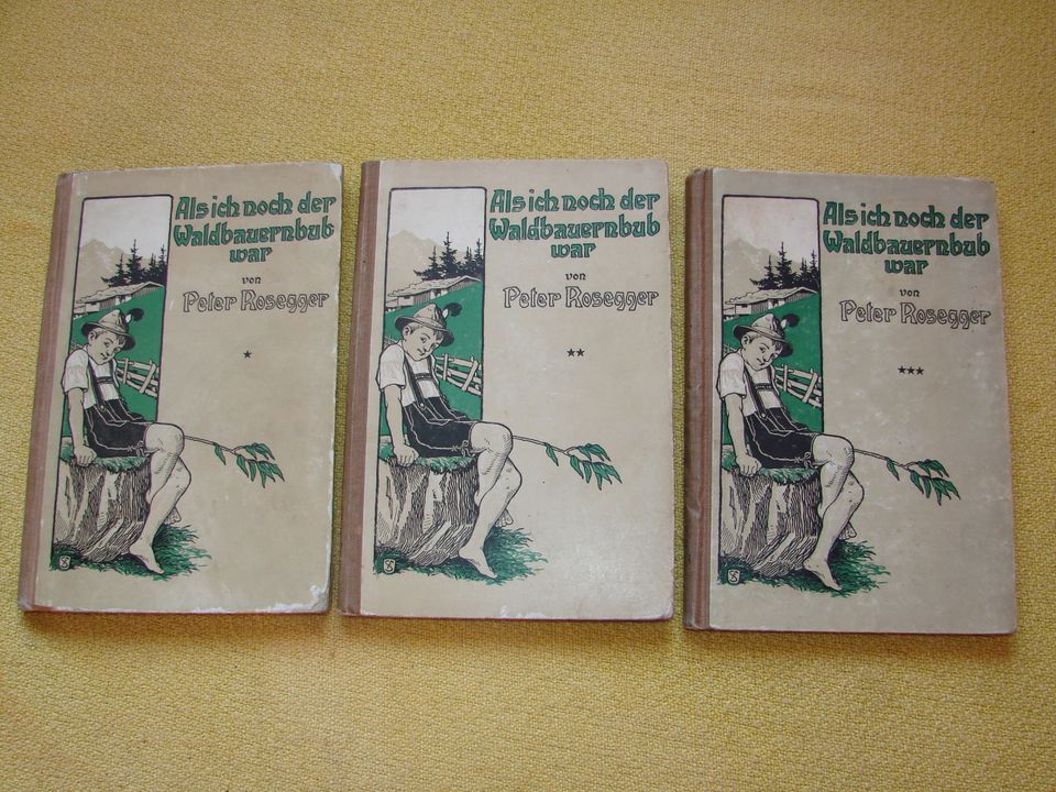 Als ich noch der Waldbauernbub war - 3 Bände Peter Rosegger 1913 in Nordhausen