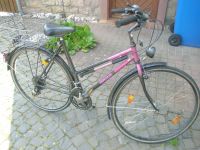 Herkules Damenfahrrad 21 Gang, 28 Zoll. Hessen - Brachttal Vorschau