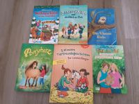 Div. Bücher u.a. Ponyherz, Die wilden Hühner,... Essen - Essen-Borbeck Vorschau