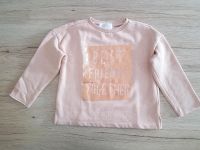 Pullover Mädchen Zara Gr. 116 rosé nude gold Bayern - Reichertshofen Vorschau