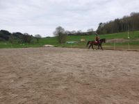 Box/Offenstall/Sommerweide Rheinland-Pfalz - Löllbach Vorschau