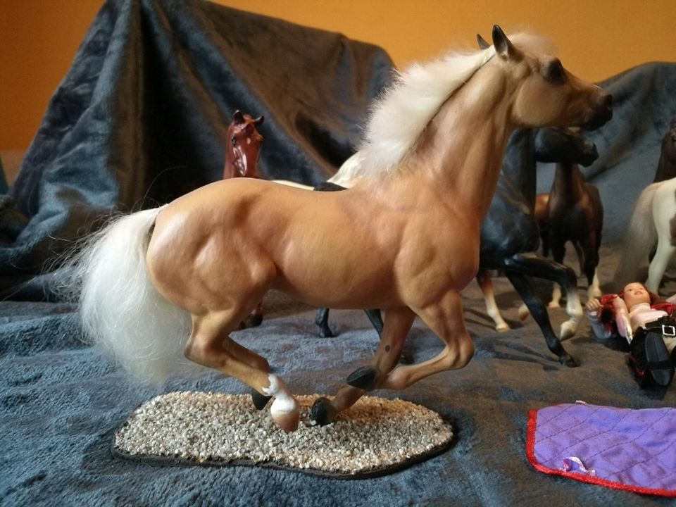 Breyer Classic custom polo pony gehairt palomino in Ramsthal