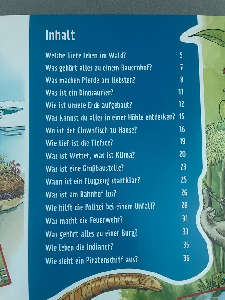 Was ist Was Mein erstes Wissen Buch Klappenbuch in Gaimersheim