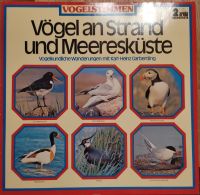 mehrere Vogelstimmen-LPs Baden-Württemberg - Haigerloch Vorschau