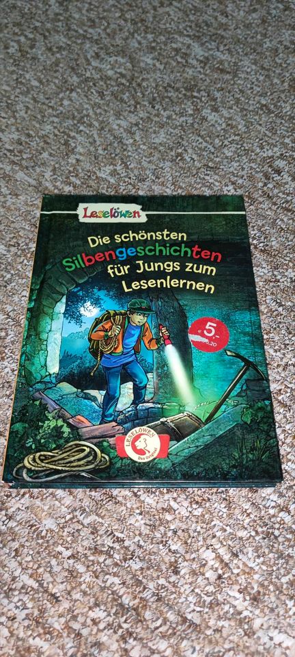 Buch von Leselöwen, Die schönsten Silbengeschichten für Jungs in Greiz