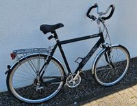 Trekkingrad Carver Las Vegas 28 Zoll Nordrhein-Westfalen - Marl Vorschau