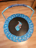 Trampolin Kindertrampolin Ø 96cm Dino Indoor Rheinland-Pfalz - Freckenfeld Vorschau