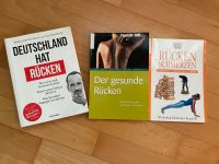 Bücher Rückenschmerzen Bayern - Ingolstadt Vorschau