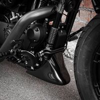 Harley-Davidson Sportster Chin Spoiler 48/ Iron Bugspoiler Baden-Württemberg - Freiberg am Neckar Vorschau