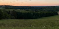 Suche Wiese Grünland Wald Grundstück Acker Baden-Württemberg - Dettenhausen Vorschau