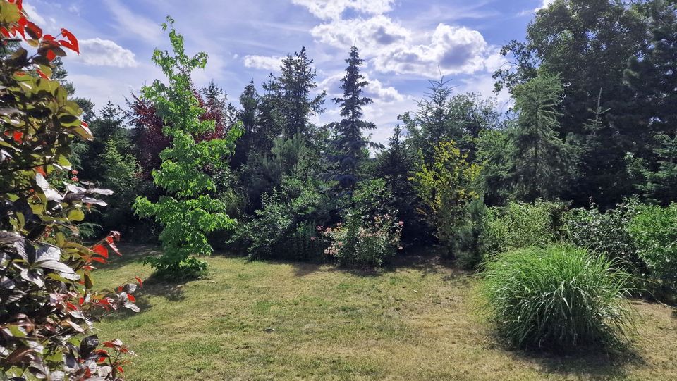 Familienidylle mit parkähnlichem Gartengrundstück bei Hettstedt in Hettstedt