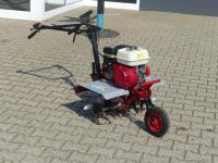 Bauma Geilenkirchen Gartenhacke/ Hacke mieten/ for rent Nordrhein-Westfalen - Geilenkirchen Vorschau