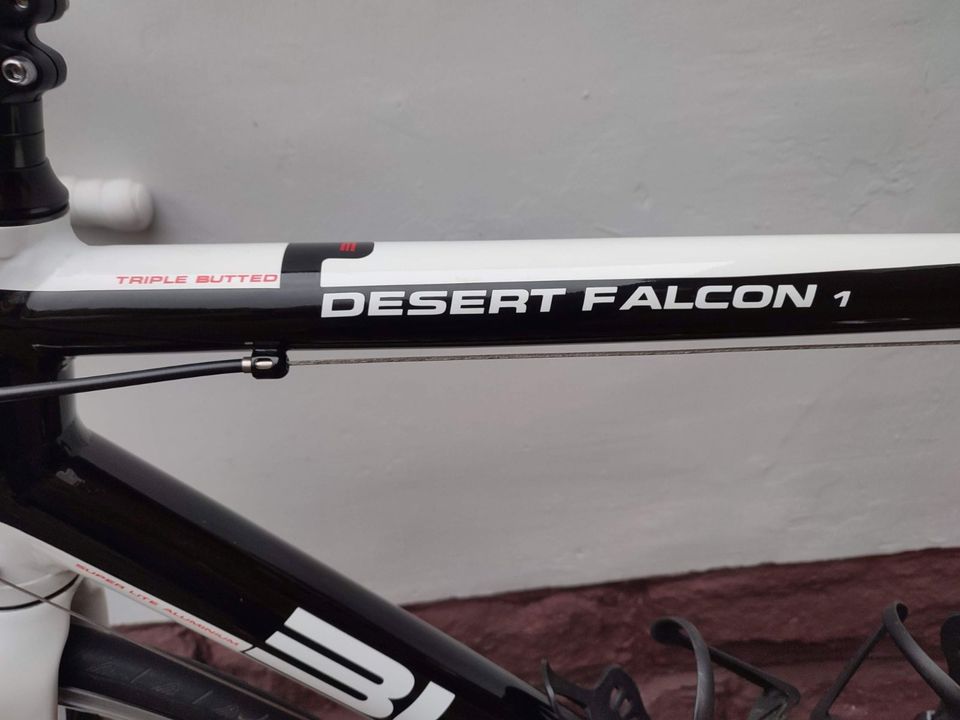 Rennrad Bulls Desert Falcon 1, Shimano Ultegra, Carbon in Bevern