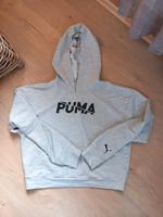 Puma Hoodie/Shirt kurz Niedersachsen - Hesel Vorschau