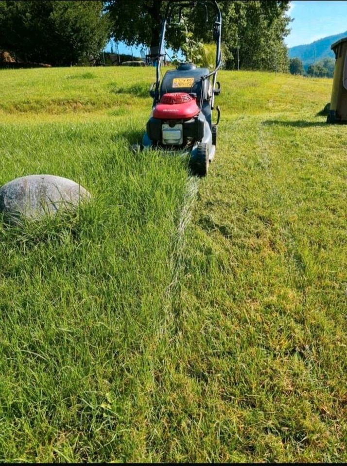 Garten arbeit in Rimbach