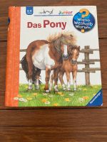 Wieso weshalb warum Junior Das Pony Baden-Württemberg - Karlsruhe Vorschau