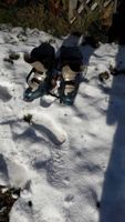 Ski und Snowboard Stiefel- ( Raichle ) Bayern - Pfronten Vorschau