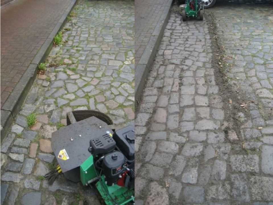 Wildkrautbürste Unkrautentferner Unkrautbürste Kwern Greenbuster in Dresden