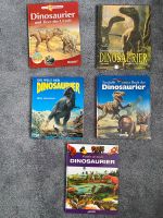 Dinosaurier Bücher | Wissensbuch | Sachbuch Niedersachsen - Lemwerder Vorschau