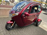 Elektromobil Econelo Nelo 3.1 Rückfahrkamera Bluetooth nur 60km Köln - Porz Vorschau