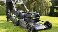 Gartenpflege, Rasen mähen, Heckenschnitt Aachen - Aachen-Brand Vorschau