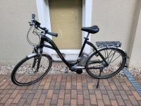 Ebike FLYER T- Serie 2014, Akku defekt , RH 60 cm Berlin - Köpenick Vorschau