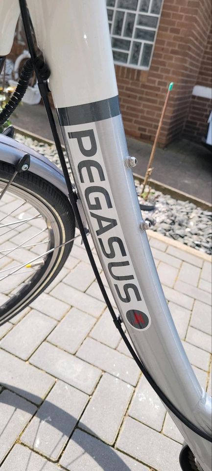 Pegasus Premio SL 28 RH50 in Bad Salzdetfurth