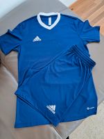 Adidas Fußball - Trikots Entrada 22 Trikots T-Shirtn Nordrhein-Westfalen - Wadersloh Vorschau