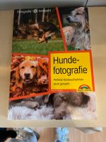 Hundefotografie Buch Hessen - Heusenstamm Vorschau