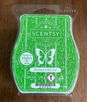 Scentsy Bsr Bamboo & Rainfall Bayern - Neu Ulm Vorschau